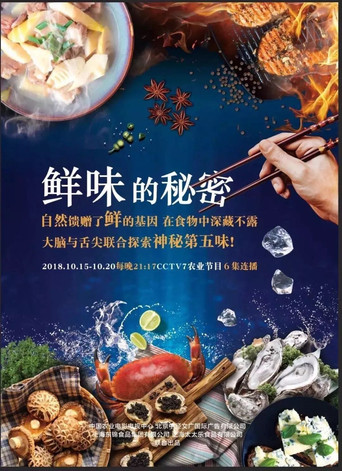 鲜味的秘密海报