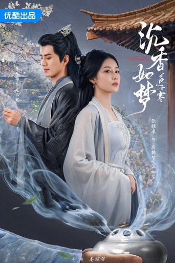 沉香如梦夜不寒海报
