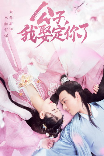 公子,我娶定你了海报