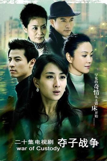 妇道之夺子战争海报