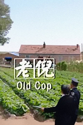 老倪海报