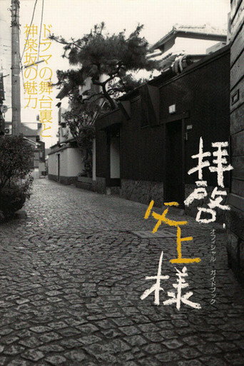 敬启,父亲大人海报