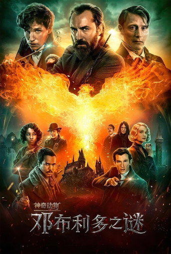 神奇动物:邓布利多之谜海报