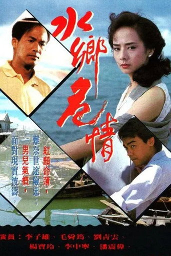 水乡危情海报