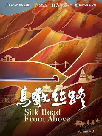 鸟瞰丝路海报