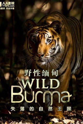 野性缅甸:失落的自然王国海报