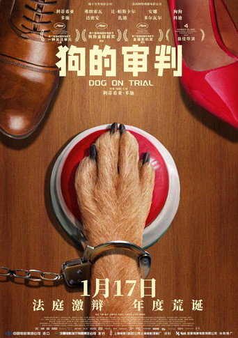 狗的审判海报
