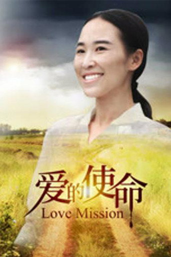 爱的使命海报