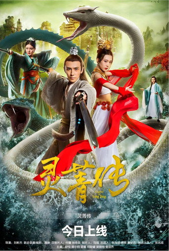 灵菁传海报
