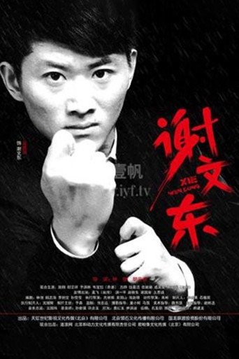 谢文东海报