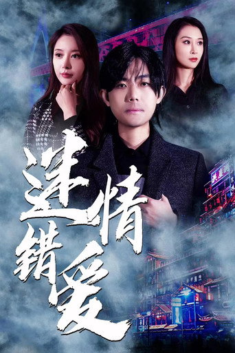 迷情错爱海报