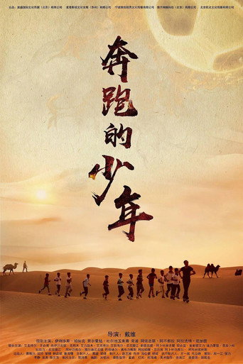 奔跑的少年海报