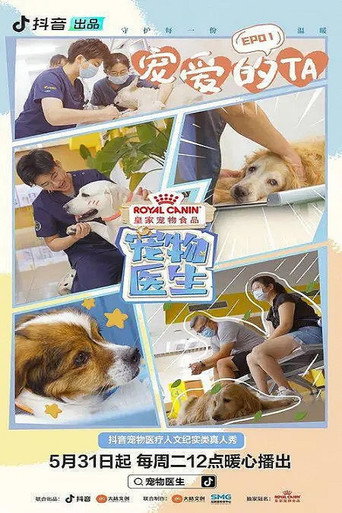 宠物医生海报