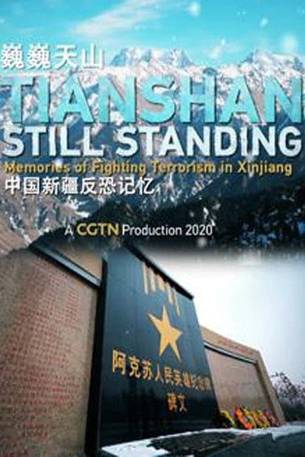 中国新疆反恐纪录海报