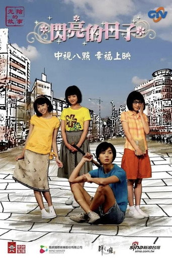 闪亮的日子海报