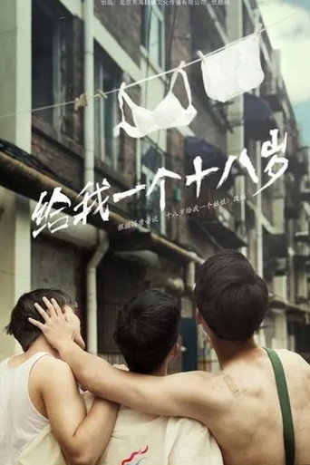 我们的十八岁海报