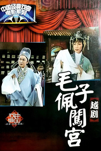 毛子佩闯宫海报