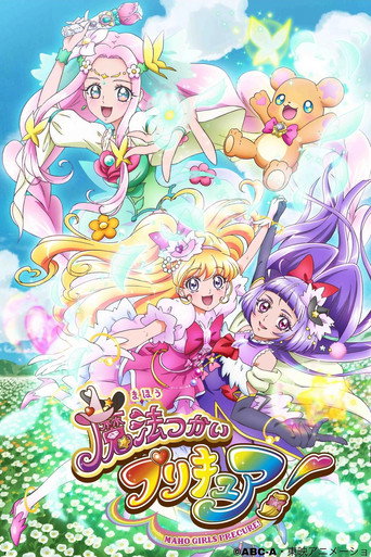 魔法使光之美少女!海报