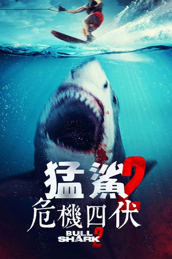 水中血2海报