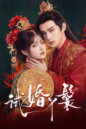 试婚丫鬟海报