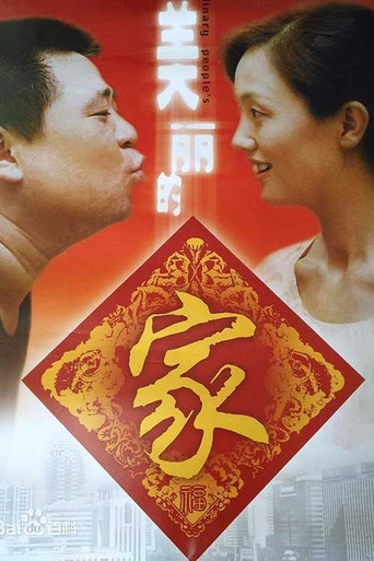 美丽的家海报