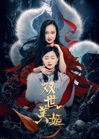 双世美姬海报