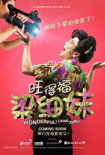 旺德福!梁细妹海报