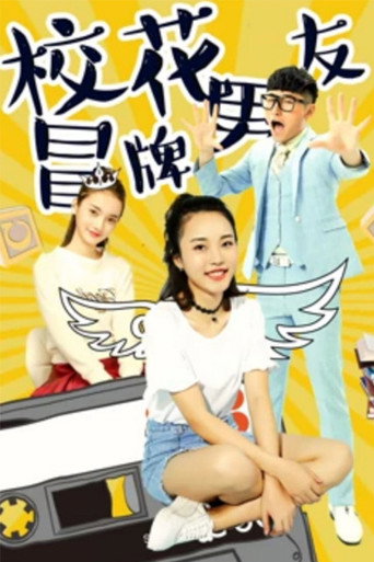 校花冒牌男友海报