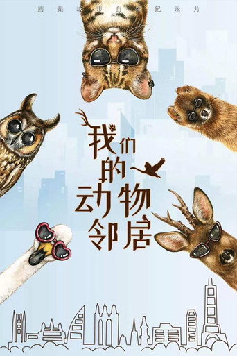 我们的动物邻居海报