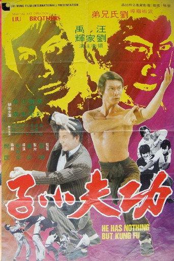 功夫小子海报