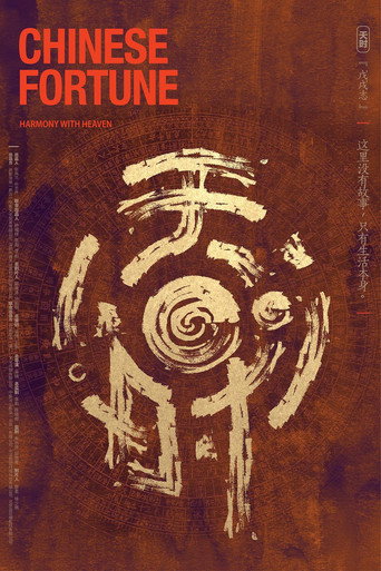 天时·戊戌志海报