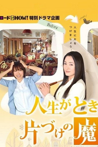 怦然心动的人生整理魔法海报
