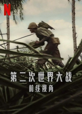 第二次世界大战:前线视角海报