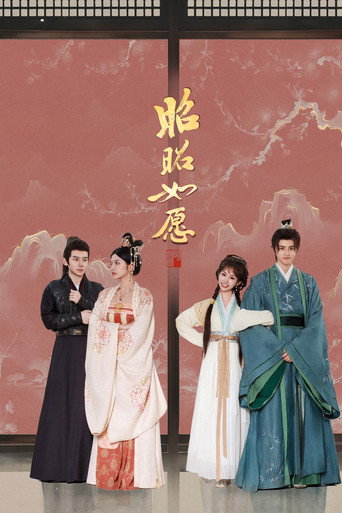 昭昭如愿海报