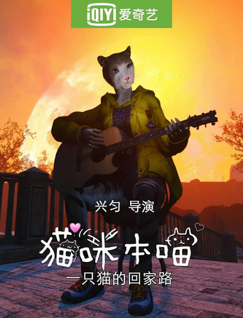 猫咪本喵海报