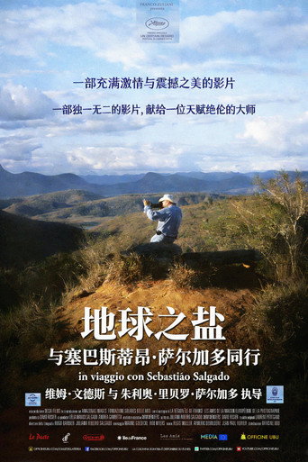 地球之盐海报