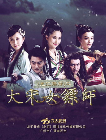 大宋女镖师海报