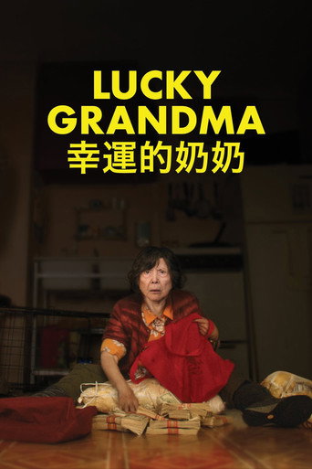 幸运的奶奶海报