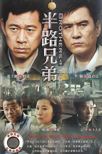 半路兄弟海报