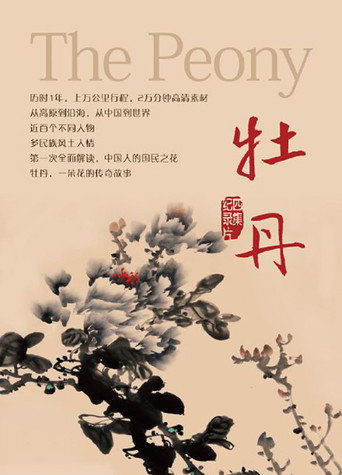 牡丹海报