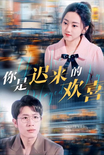 你是迟来的欢喜海报