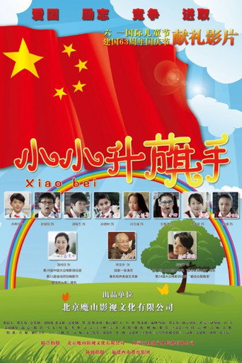 小小升旗手海报