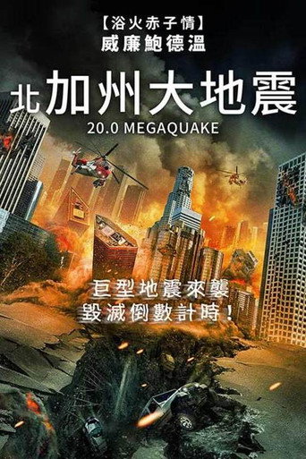 20.0级大地震海报