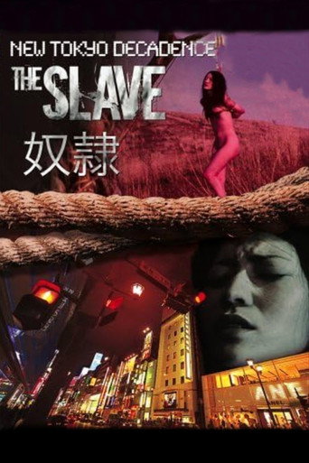 新堕落东京之奴隶海报