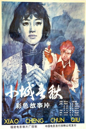 小城春秋海报