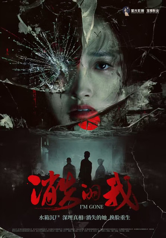 消失的我海报