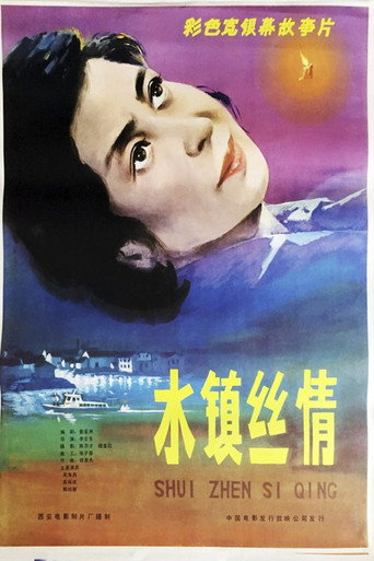 水镇丝情海报