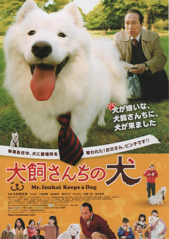 犬饲先生养狗记海报