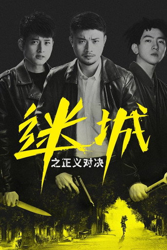 迷城之正义对决海报