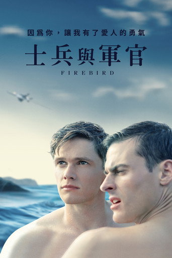 浴火鸟海报